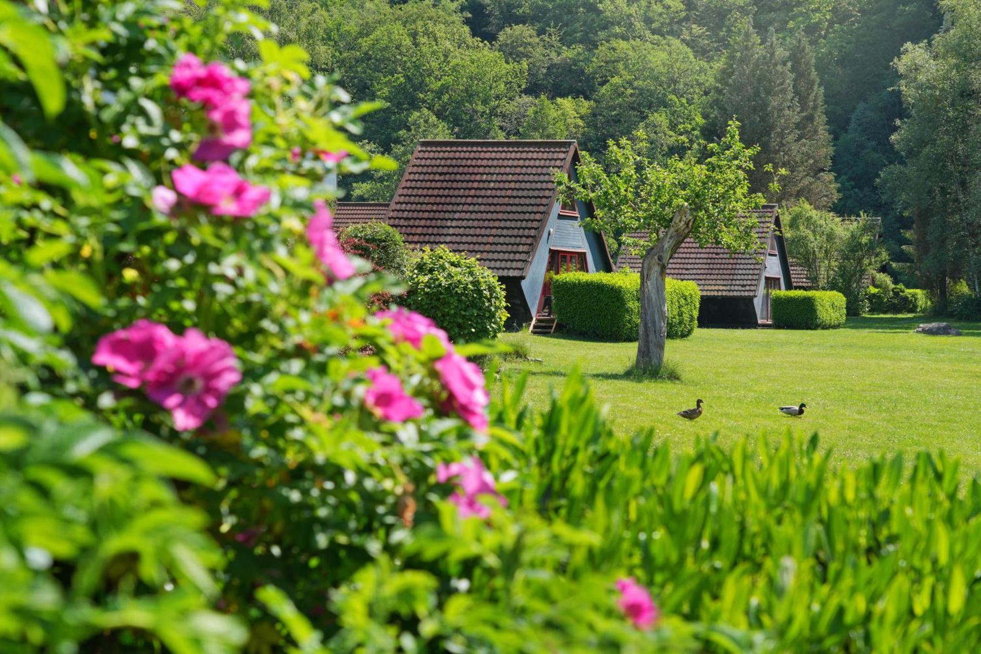 Domaine Long Pre Villa Stavelot Exterior photo